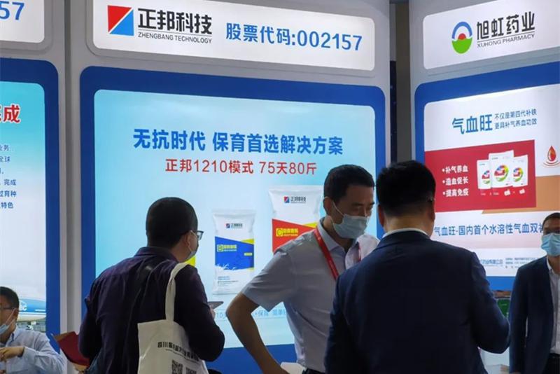 1621481897790224.jpg 02_副本.jpg